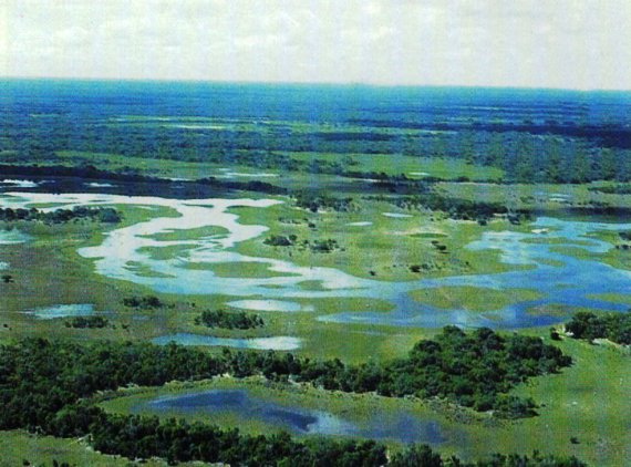 Самое большое болото в мире – Пантанал (Pantanal). Бразилия.