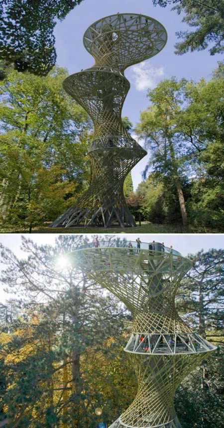 Бамбуковая башня наблюдения