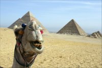 Египет - колыбель цивилизации